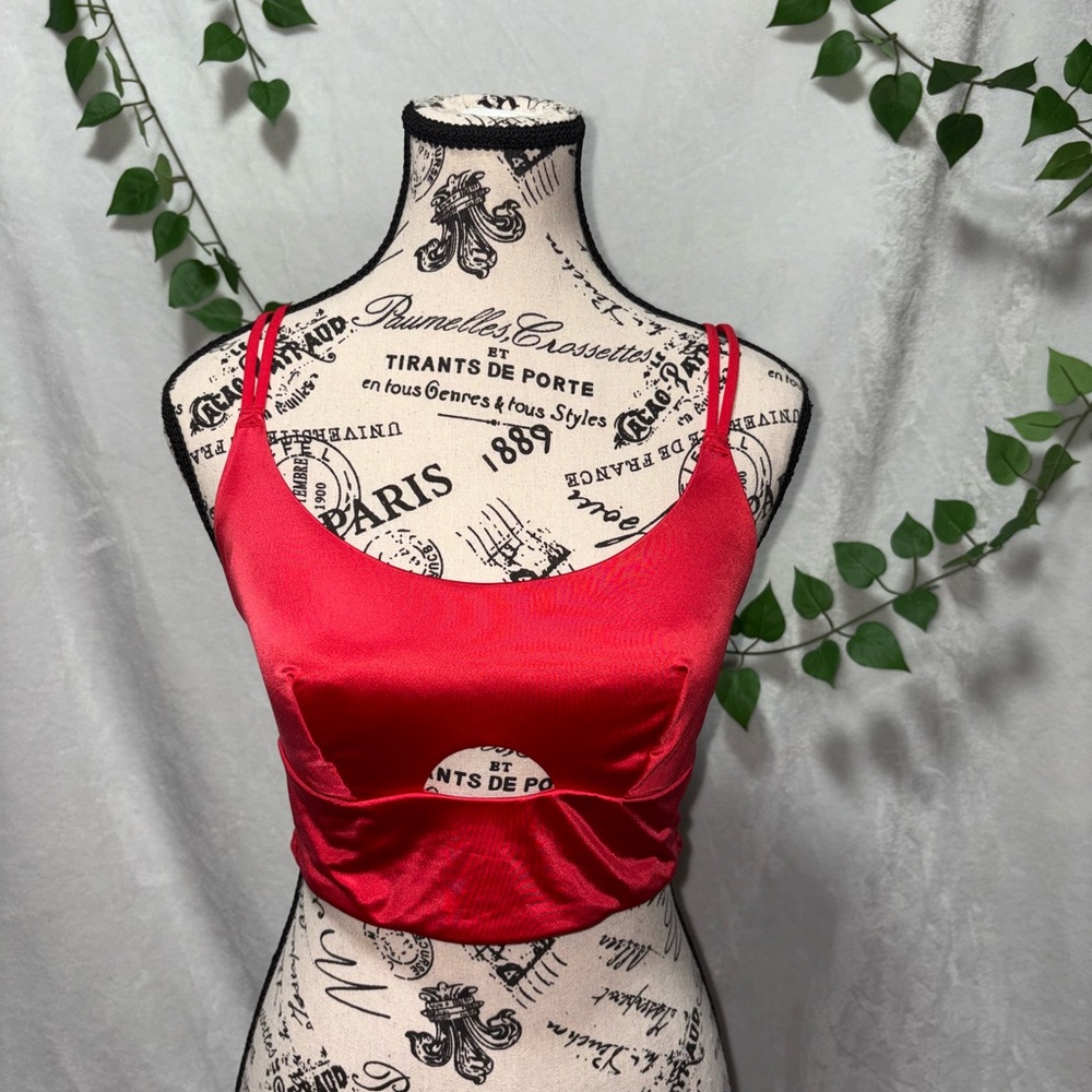 Red Satin Crop Top